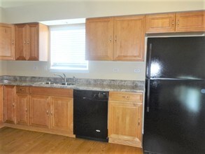 5220 W Mulberry Ln in Monee, IL - Building Photo - Building Photo