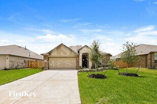 5228 Pine Pass Dr in Rosenberg, TX - Building Photo