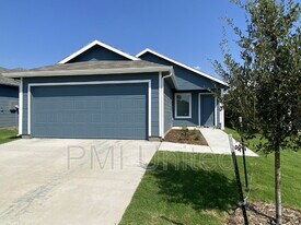 3012 Burmese St in Providence Village, TX - Building Photo