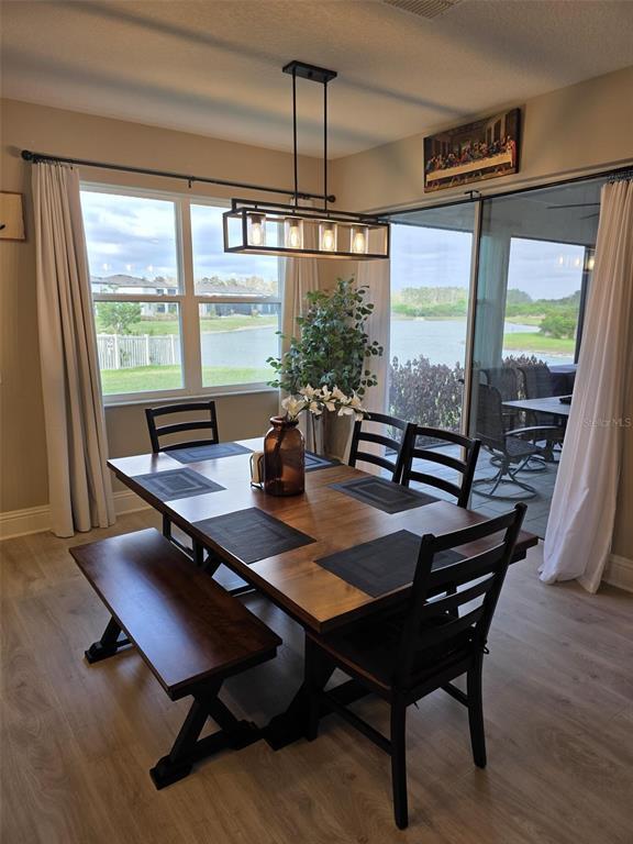 7520 Greenheart Ct in Wesley Chapel, FL - Building Photo - Building Photo