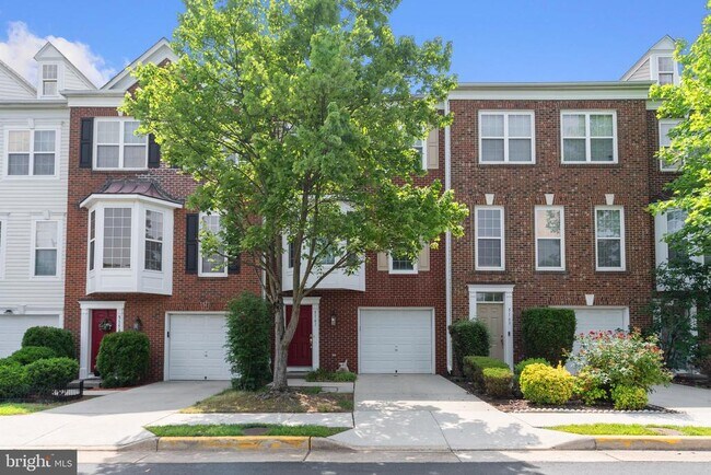 5161 Sapphire Sky Ln in Centreville, VA - Building Photo - Building Photo