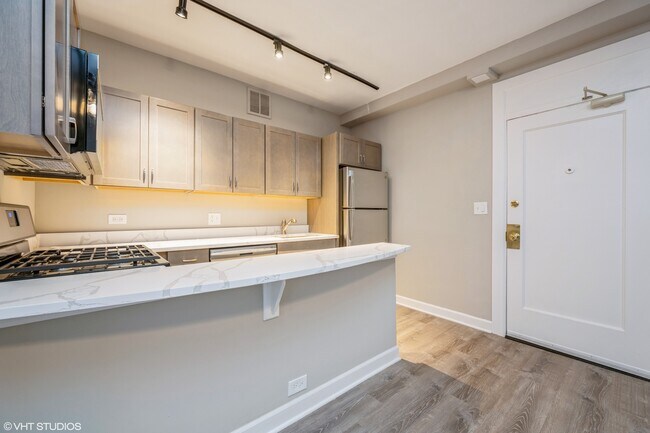 432 W Belmont Ave in Chicago, IL - Foto de edificio - Building Photo