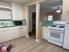 1410 Romeria Dr in Austin, TX - Building Photo - Building Photo