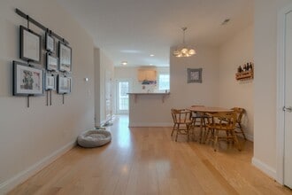 250 Sheliah Ct in Blacksburg, VA - Building Photo - Building Photo