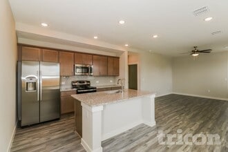 1733 Mexican Heather Dr in Leander, TX - Building Photo - Building Photo