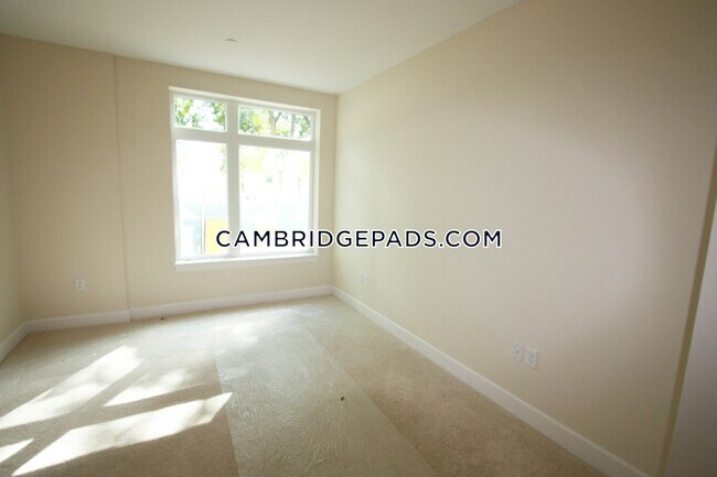 7 Cameron Ave-Unit -210 in Cambridge, MA - Building Photo - Building Photo