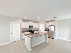 31665 Barrel Wave Way in Zephyrhills, FL - Building Photo - Building Photo