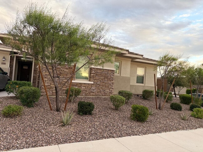 31465 N 126th Ln in Peoria, AZ - Building Photo - Building Photo