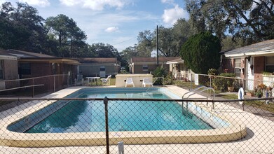 Palm Court Apartments in Tampa, FL - Building Photo - Other