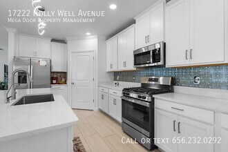 17222 Holly Wl Ave in Wimauma, FL - Building Photo - Building Photo