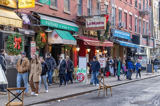 Apartamentos Alquiler en Little Italy, NY