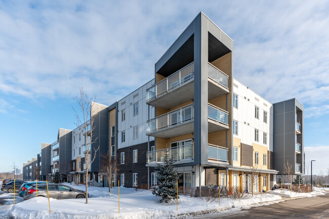 951 De L'école St in Lévis, QC - Building Photo - Building Photo