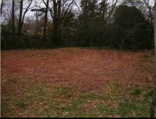 211 Dover Ct in Jonesboro, GA - Building Photo - Building Photo