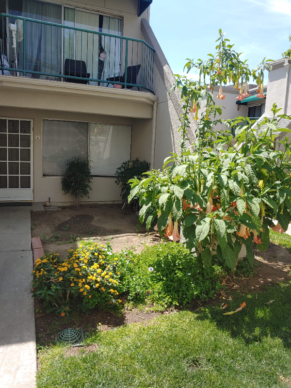 18520 Mayall St in Los Angeles, CA - Foto de edificio - Building Photo