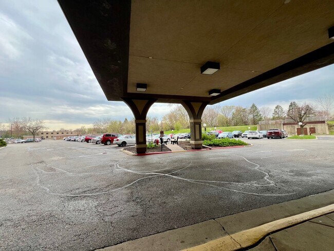 1 Renaissance Pl in Palatine, IL - Building Photo - Building Photo