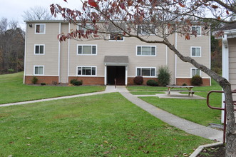 Meadowview Apartments in Pulaski, VA - Building Photo - Building Photo