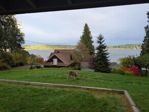 8876 Utah St NE in Bremerton, WA - Building Photo - Building Photo