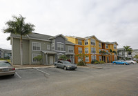 Royal Palm Terrace Apartments photo'