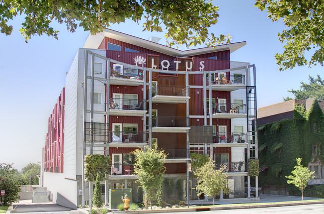 Lotus Apartments photo'