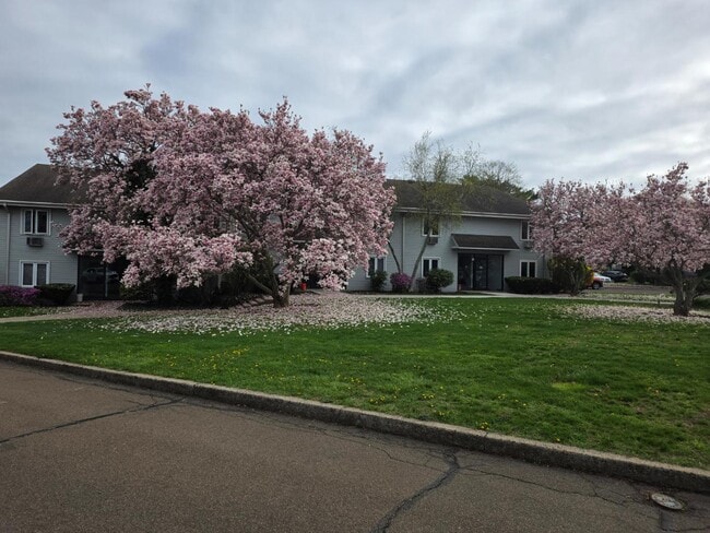 property at 103 Florence Rd