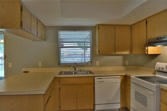 10002 Turkey Trot Pl in Tampa, FL - Building Photo - Building Photo