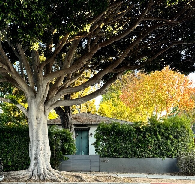 property at 1402 Maple St