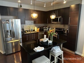 225 S Sangamon St in Chicago, IL - Building Photo - Building Photo