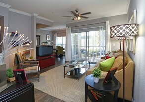 Windsor Cypress in Houston, TX - Building Photo