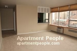 70 W Burton Pl-Unit -1005 in Chicago, IL - Building Photo - Building Photo