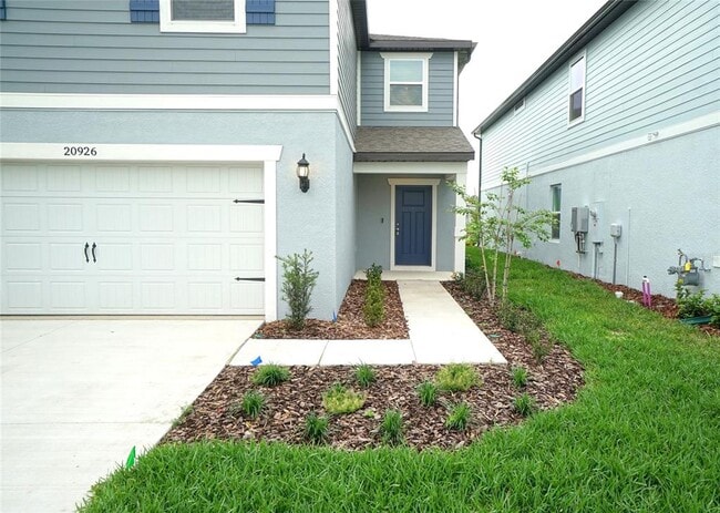 20926 Drake Elm Dr in Land O Lakes, FL - Building Photo - Building Photo