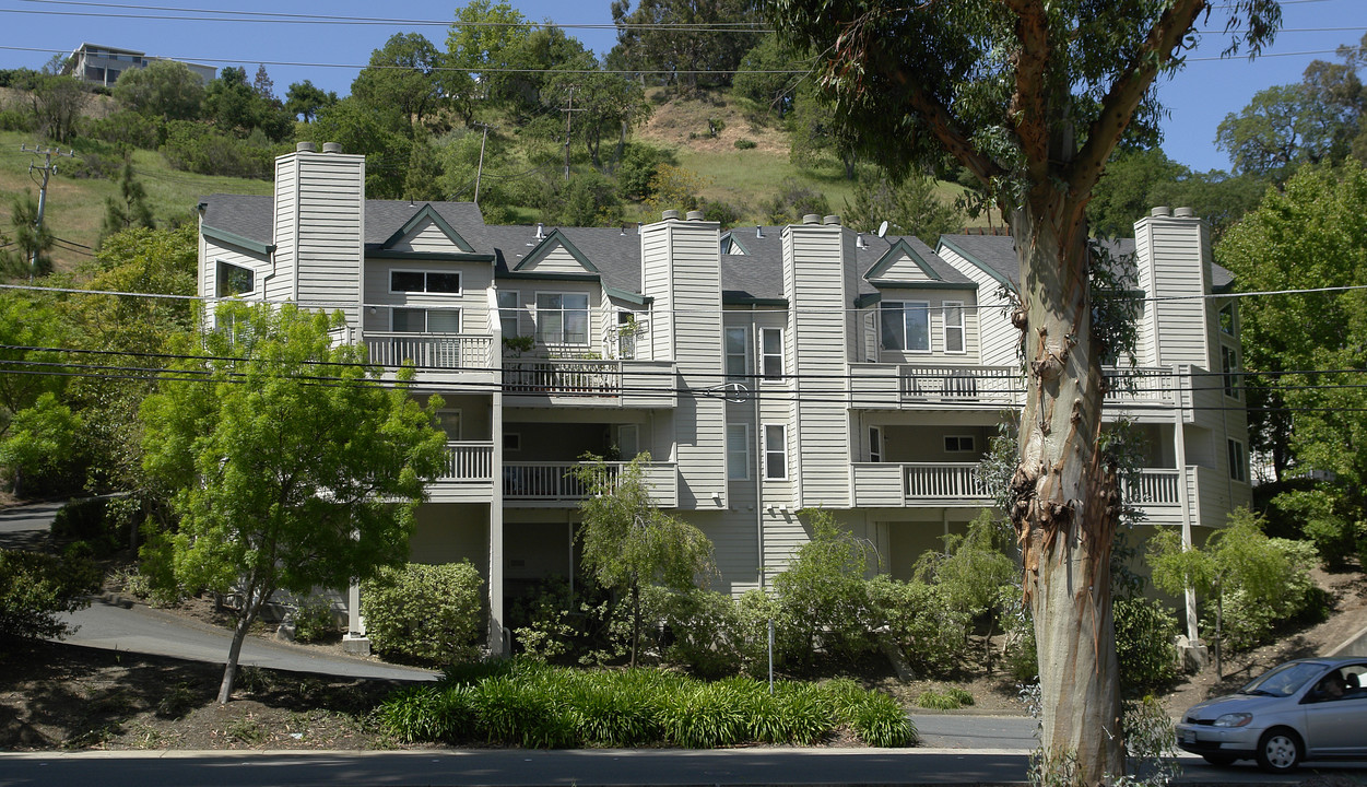 1775 Tice Valley Blvd in Walnut Creek, CA - Foto de edificio