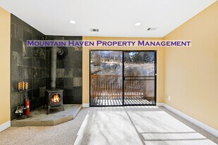 1901 Clear Creek Dr in Georgetown, CO - Building Photo