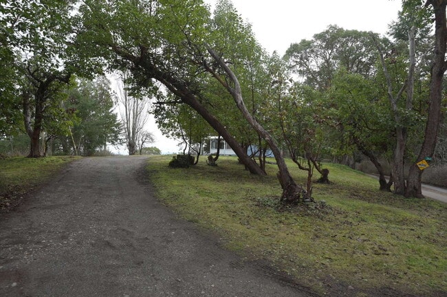 263 Chickadee Ln in Sequim, WA - Building Photo - Building Photo
