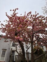 447 Degraw St, Unit duplex in Brooklyn, NY - Building Photo