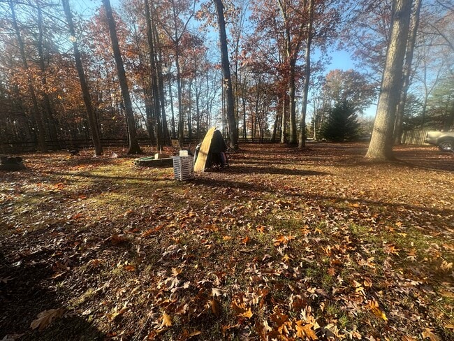 4562 Gavin Woods Ct in Catlett, VA - Building Photo - Building Photo