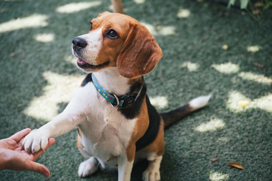 Bolton West Charlotte in Charlotte, NC - Building Photo