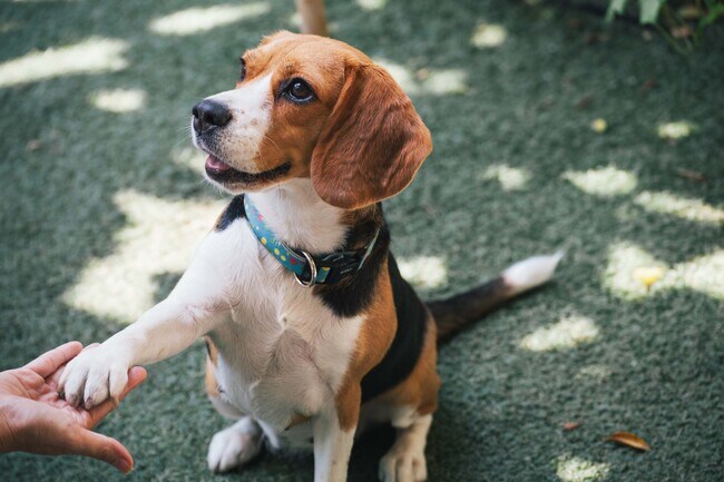 Bolton West Charlotte