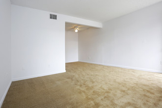 Canterbury Villas Apartments in Largo, FL - Building Photo - Interior Photo