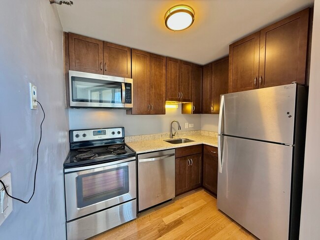 111 W Maple St in Chicago, IL - Building Photo - Building Photo