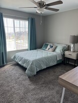 19909 E 61st Dr in Aurora, CO - Building Photo