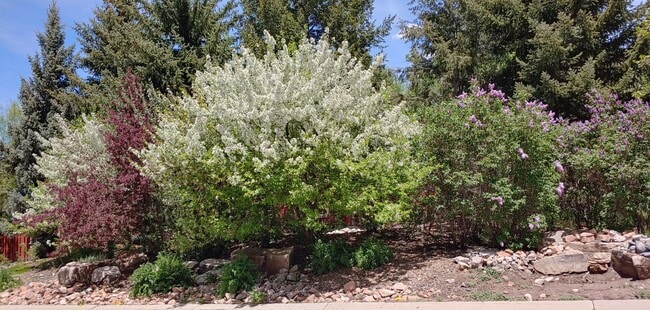 1468 Willow Loop, Unit B in Park City, UT - Building Photo - Building Photo