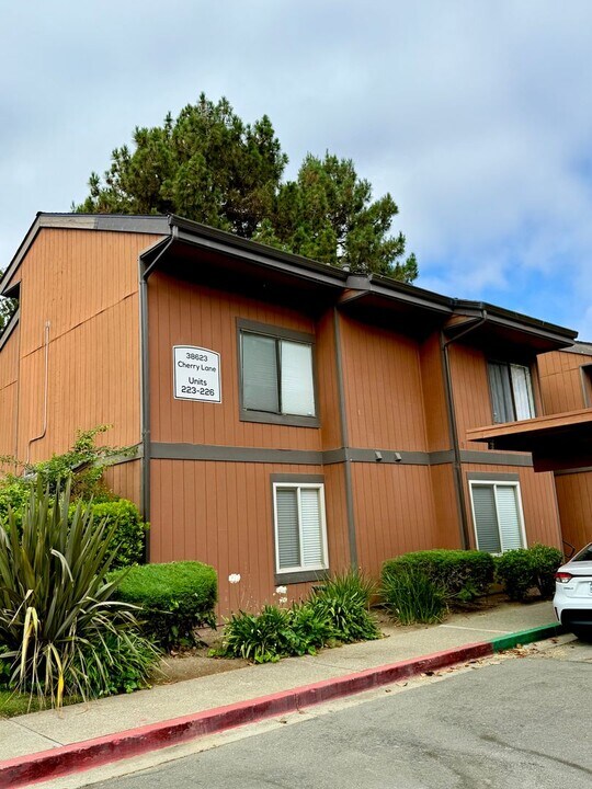 38623 Cherry Ln in Fremont, CA - Building Photo