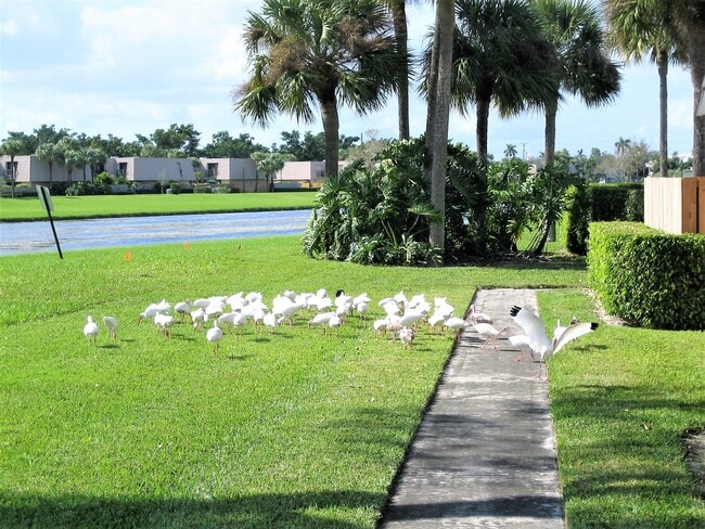 619 6th Way in West Palm Beach, FL - Building Photo - Building Photo
