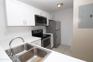 1021 Abada Ct NE in Palm Bay, FL - Building Photo