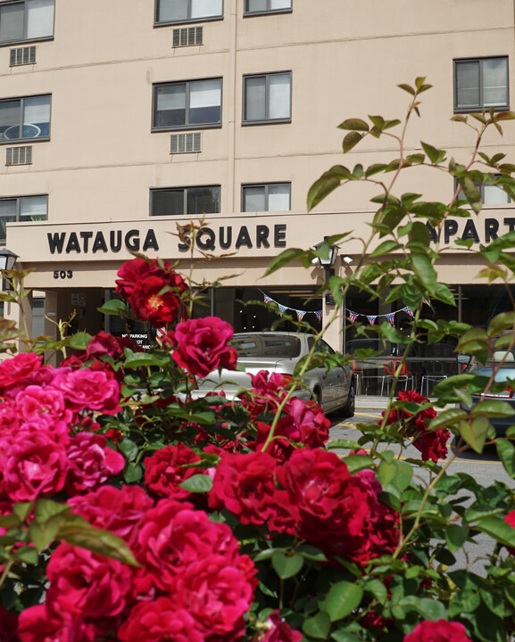 Watauga Square in Johnson City, TN - Building Photo