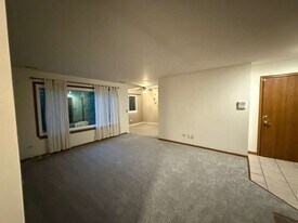 320 Newport Ln in Bartlett, IL - Building Photo