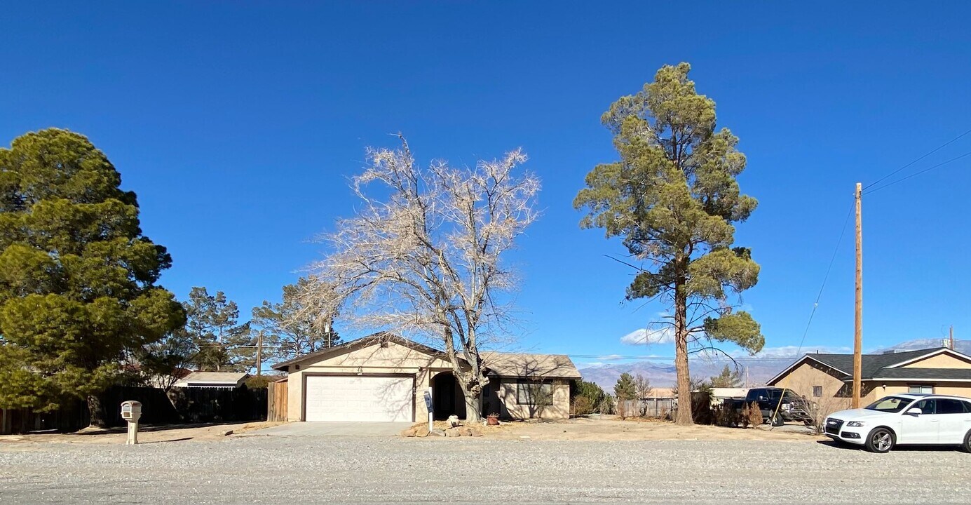 690 E Calvada Blvd in Pahrump, NV - Building Photo