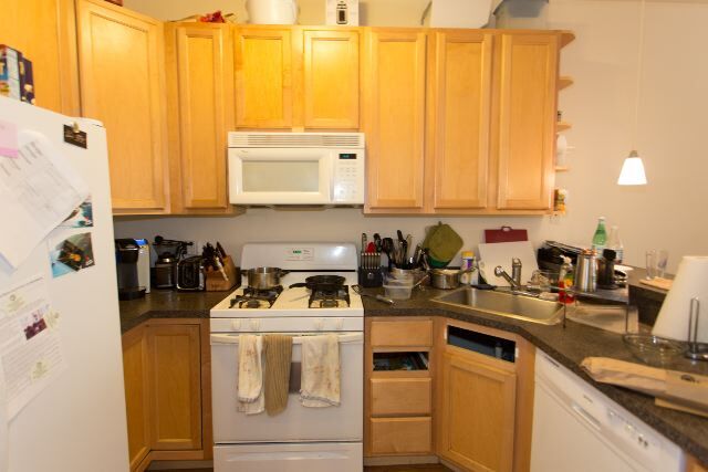 1720 W North Ave, Unit J08P in Chicago, IL - Building Photo - Building Photo