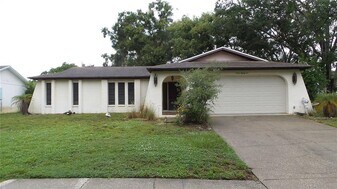 1286 Golden Oak Dr in Tarpon Springs, FL - Building Photo