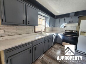 1013 S Sherman Ave in Sioux Falls, SD - Building Photo - Building Photo